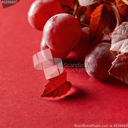 Image of bunch of ripe red grapes