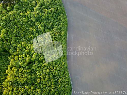 Image of Aerial view from the drone, a bird\'s eye view to the forest with green spaces and agricultural field with the road dividing them in half at sunset in the summer evening,