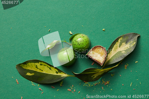 Image of green chocolate candy with jelly