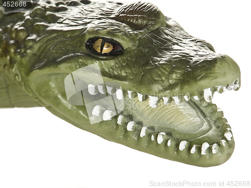 Image of Crocodil