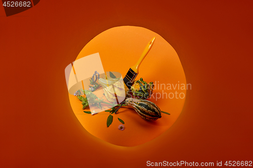 Image of creative autumn composition with different decorative pumpkins