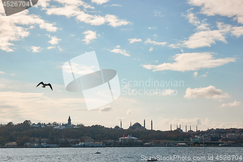 Image of Beautiful sea view with gulls