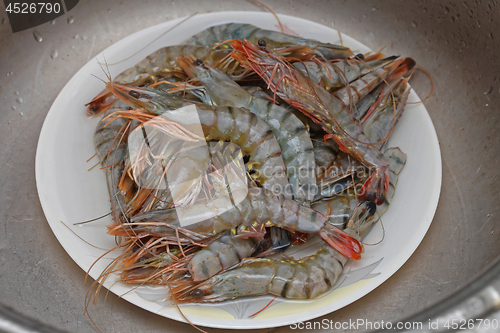 Image of Shrimps Tiger