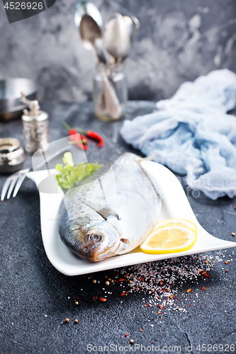 Image of raw dorada