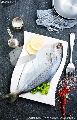 Image of raw dorada