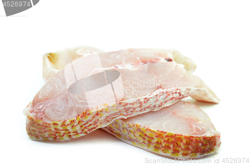 Image of Red snapper fish fillet