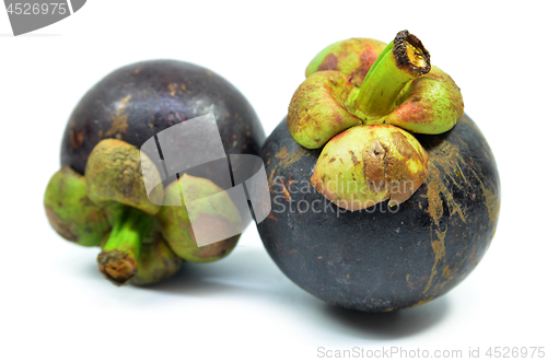 Image of Ripe mangosteen fruit isolated