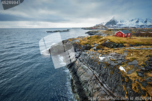 Image of Clif with traditional red rorbu house on Lofoten Islands, Norway