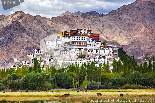 Image of Thiksey gompa, Ladakh, India