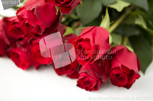 Image of close up of red roses bunch