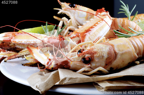 Image of Delicious Grilled Langoustines 