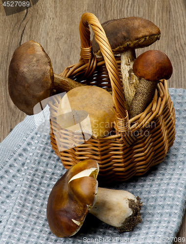 Image of Raw Forest Mushrooms