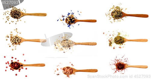 Image of Collection of Spices