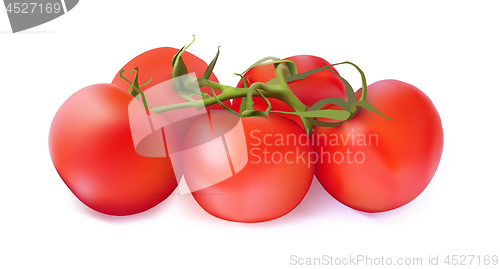 Image of Set of red tomatoes on a white background. Vector illustration