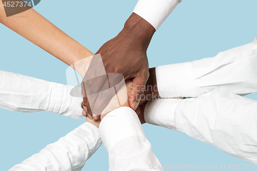 Image of Male and female hands holding isolated on blue studio background