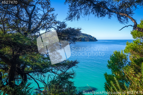 Image of Track view in Abel Tasman National Park, New Zealand