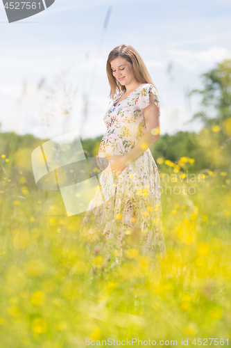 Image of Beautiful pregnant woman in white summer dress in meadow full of yellow blooming flovers.