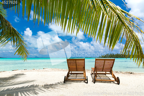 Image of tropical beach with palm tree and sunbeds