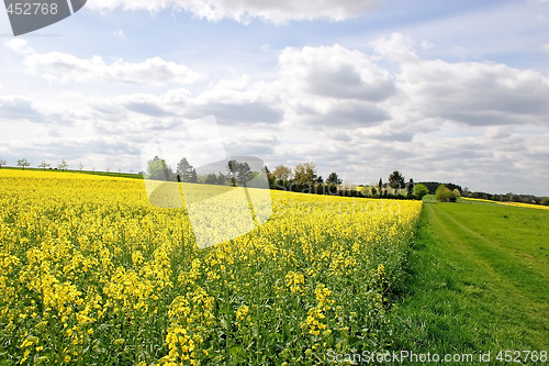 Image of Farmland