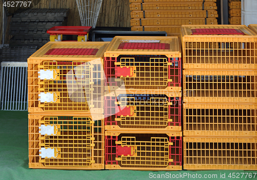 Image of Bird Cages