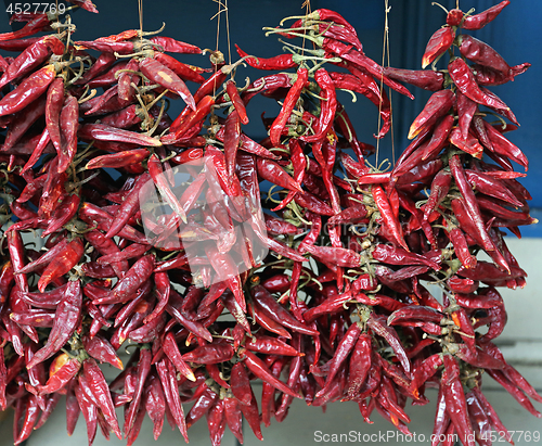 Image of Hungary Paprika