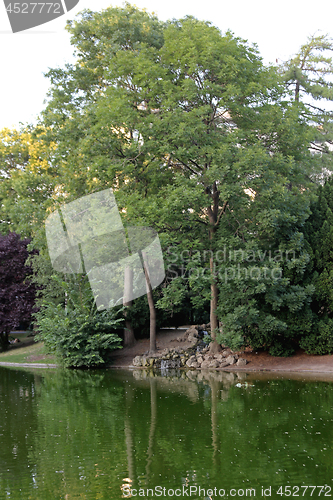 Image of Park Pond