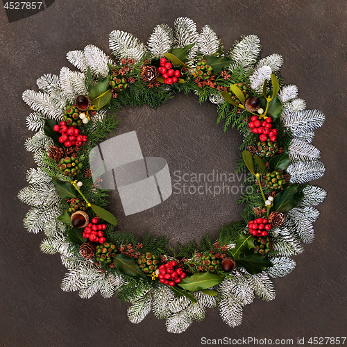 Image of Natural Winter and Christmas Wreath