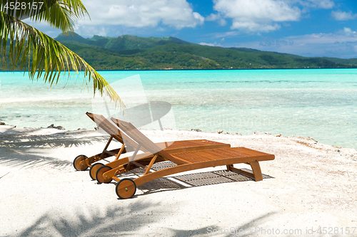 Image of tropical beach with palm tree and sunbeds