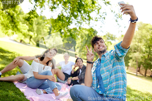 Image of friends taking selfie by smartphone at picnic