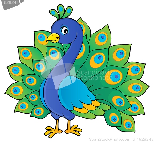 Image of Peacock theme image 1