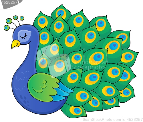 Image of Peacock theme image 3