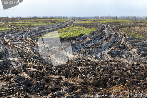 Image of road in a field