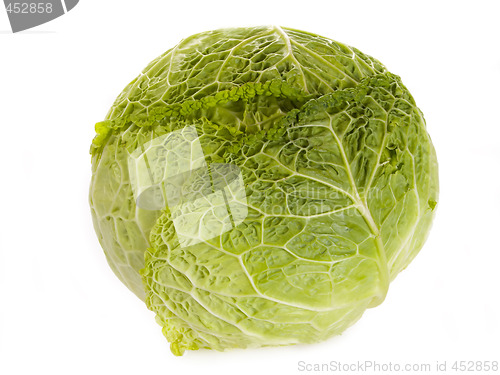 Image of Savoy cabbage