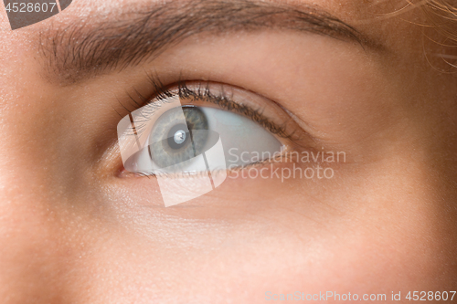 Image of The close up eye on face of young beautiful caucasian girl