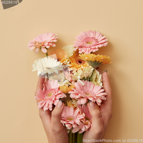 Image of The girl\'s hands hold a beautiful bouquet of gerberas on a yellow paper background.