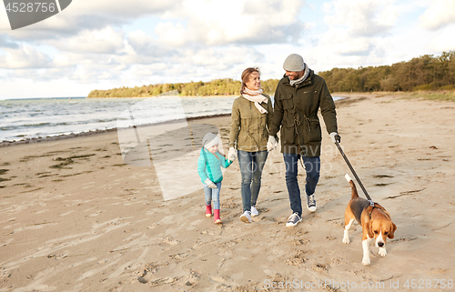 Image of happy family walking with beagle dog on beach