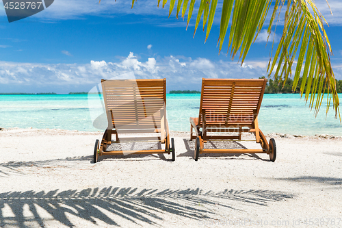 Image of tropical beach with palm tree and sunbeds