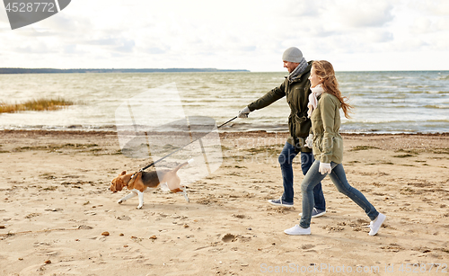 Image of happy couple with beagle dog on autumn beach