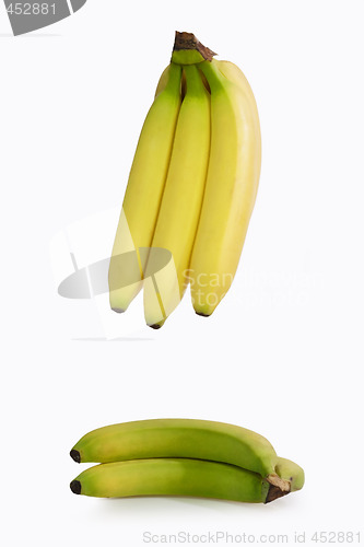 Image of Tropical bananas