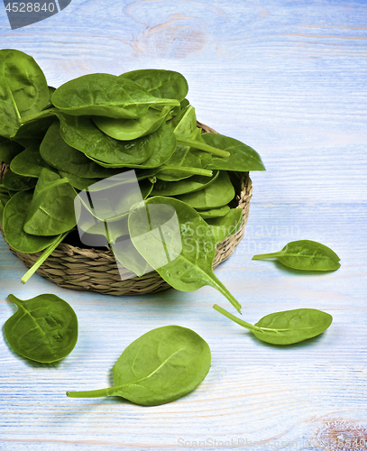 Image of Raw Spinach Leafs