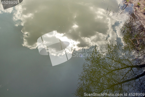 Image of Circles on the water