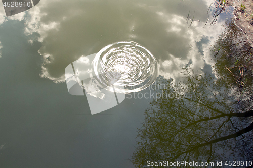 Image of Circles on the water