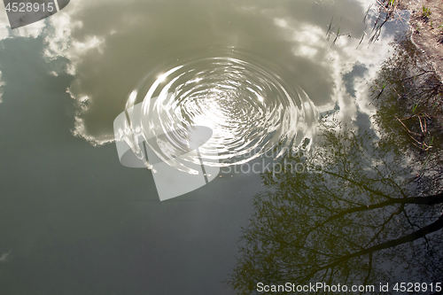 Image of Circles on the water