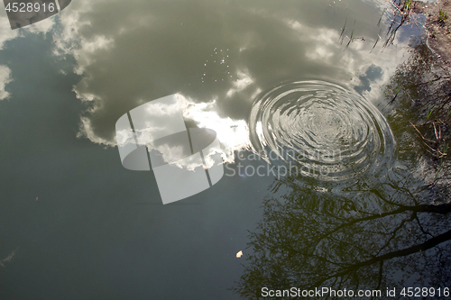 Image of Circles on the water