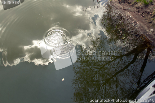Image of Circles on the water