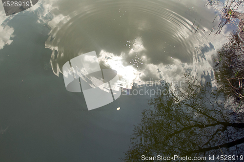Image of Circles on the water