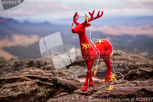 Image of Christmas decoration and gold star lights in Blue Mountains scene