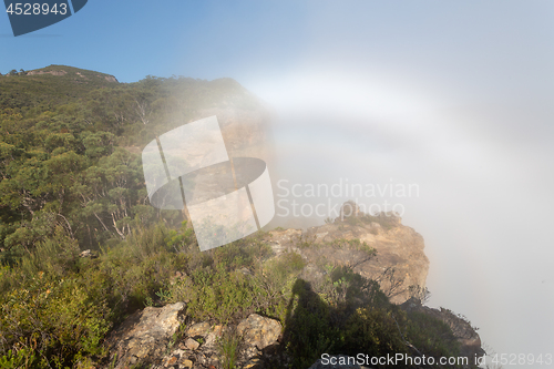 Image of Fogbow in Blue Mountains Australia