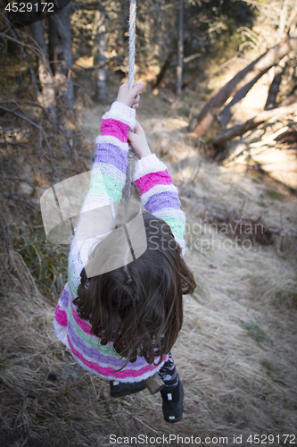 Image of Tree Swing