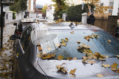 Image of Autumn Car